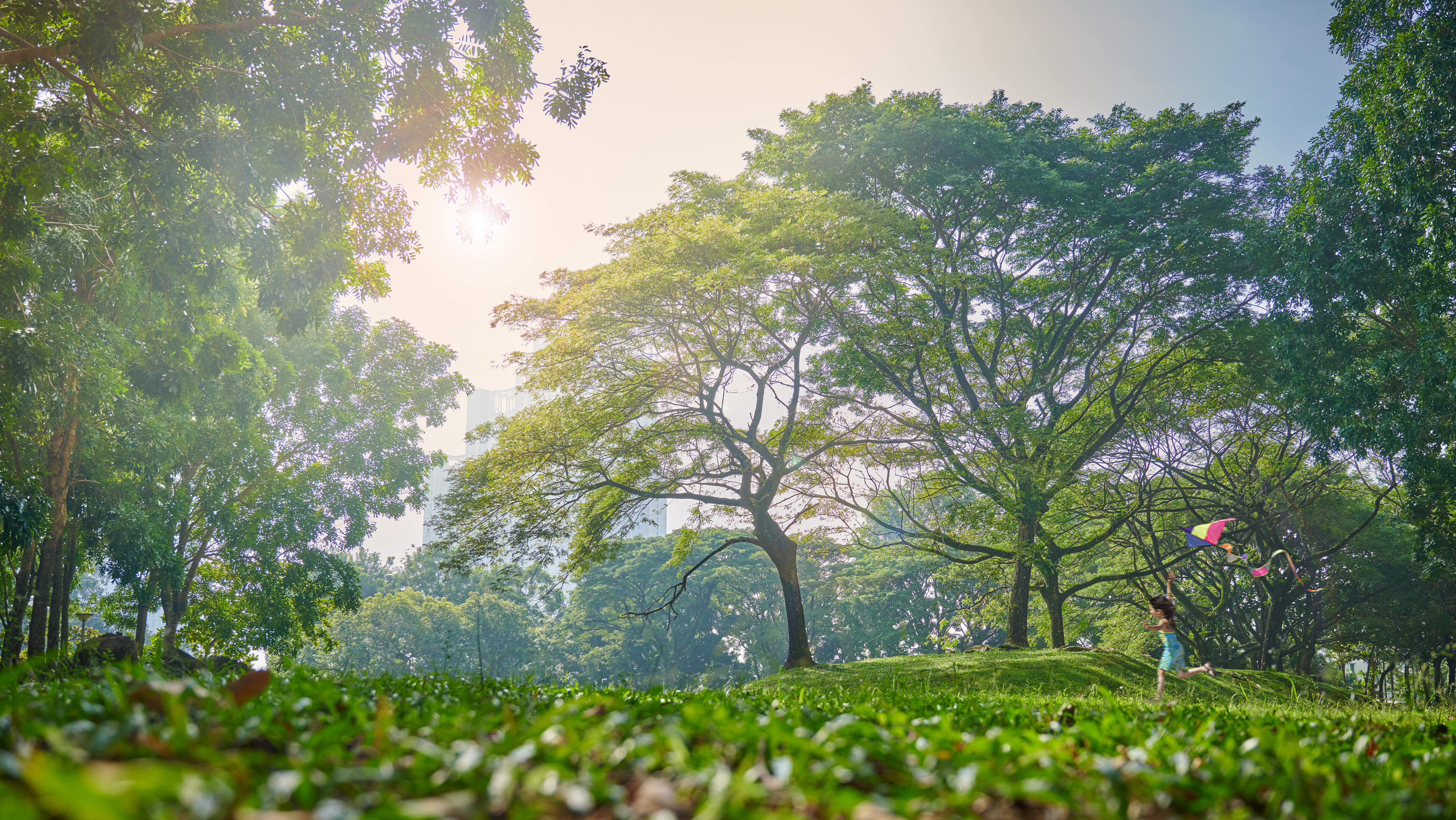 Desa ParkCity lush green park with lake and walking paths